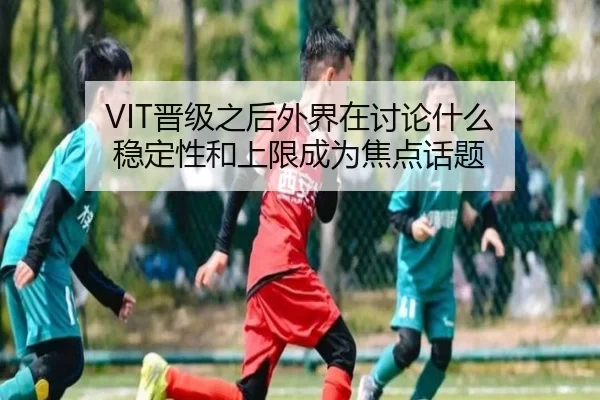 VIT晋级之后外界在讨论什么 稳定性和上限成为焦点话题